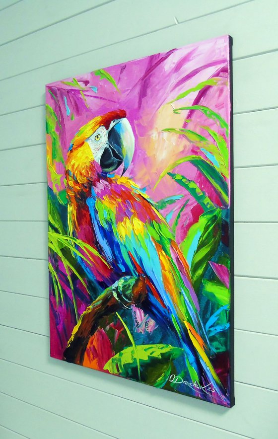 Macaw Parrot
