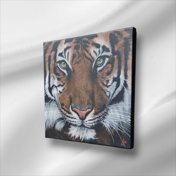 Painting Eye of the tiger