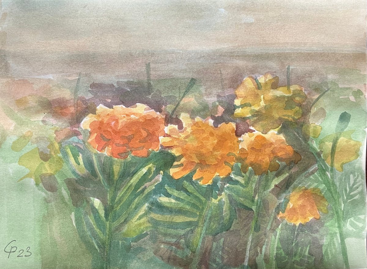 Marigolds flowers, artwork from Ukraine by Roman Sergienko