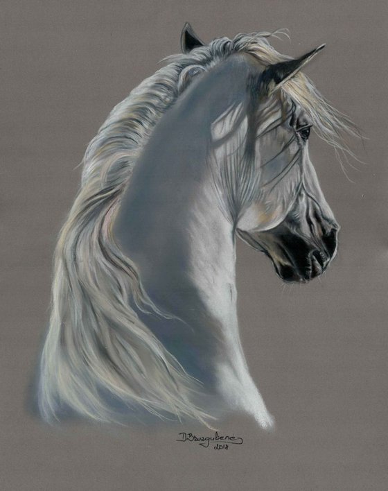 Pastel painting on Paper ,,WHITE HORSE''