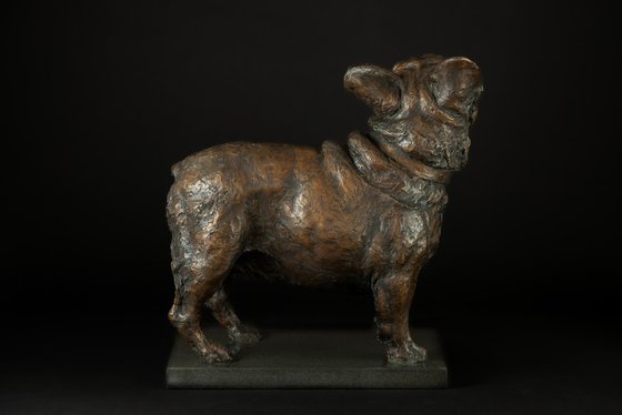 French Bulldog Lifting Paw FB