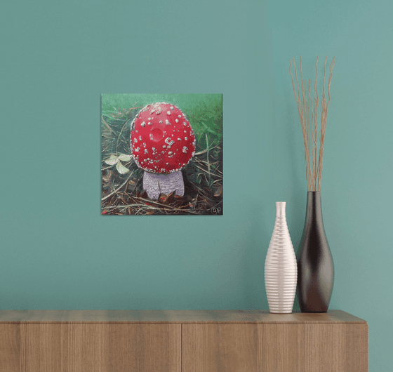 Fly agaric red