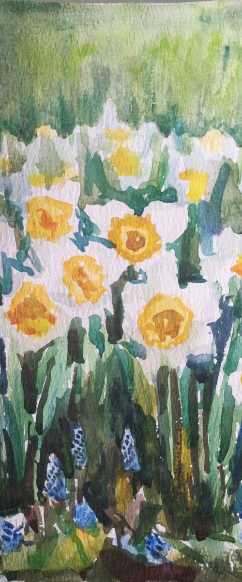 Hello Spring. (Daffodils and Muscari). (SMALL GIFT IDEA, FLOWERS, WATERCOLOR PAINTING) by Mag Verkhovets