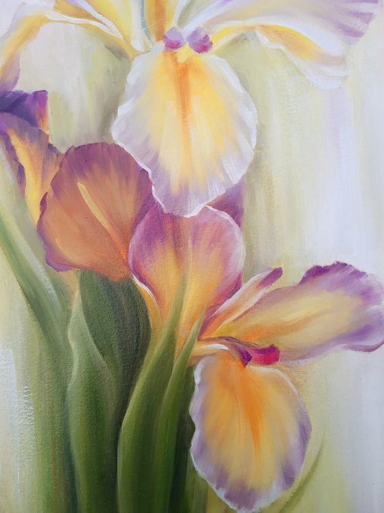 "Sunny irises"