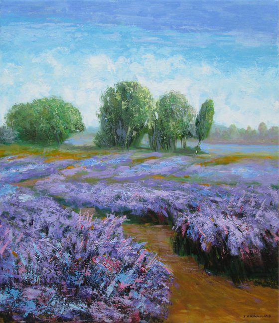 Violet flower field