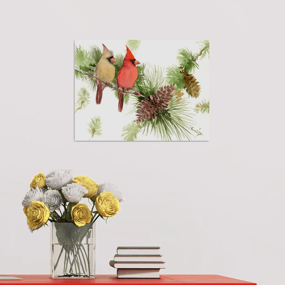 Cardinal Birds