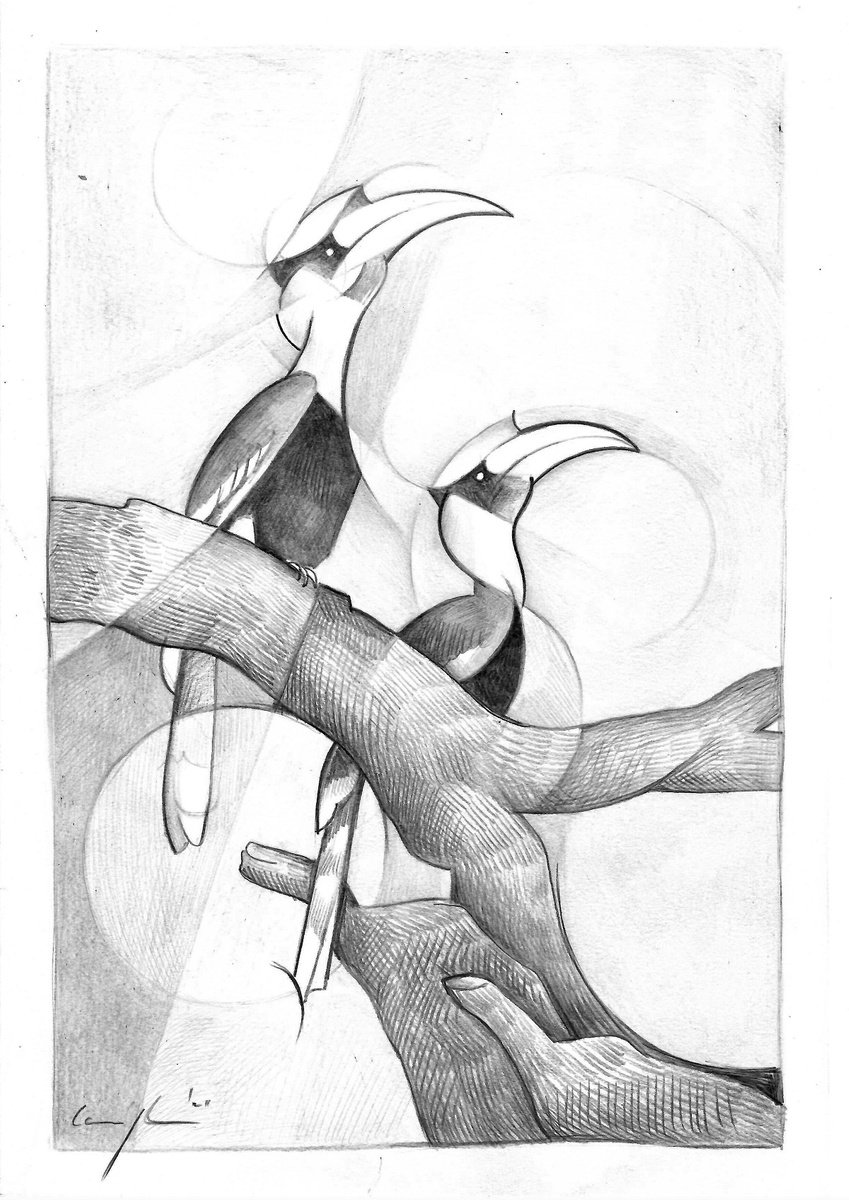 Dynamic study of two Hornbills by Martin Cambriglia