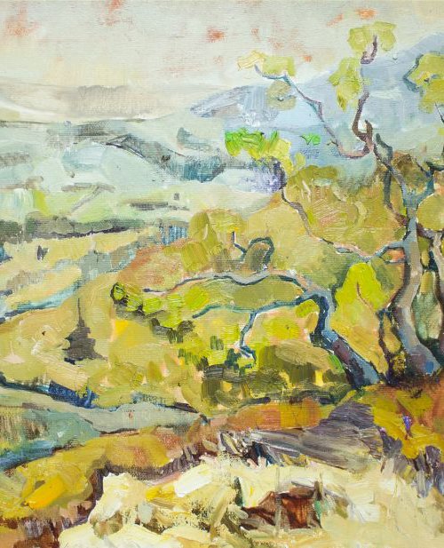 Landscape.View from Mount by Anastasiia Grygorieva