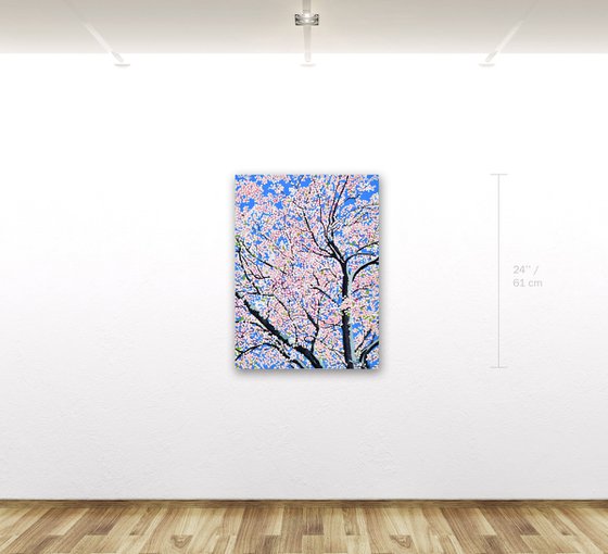 Cherry Blossom #7