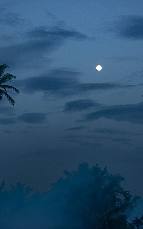 Moonrise in Majorda by Adam Regan