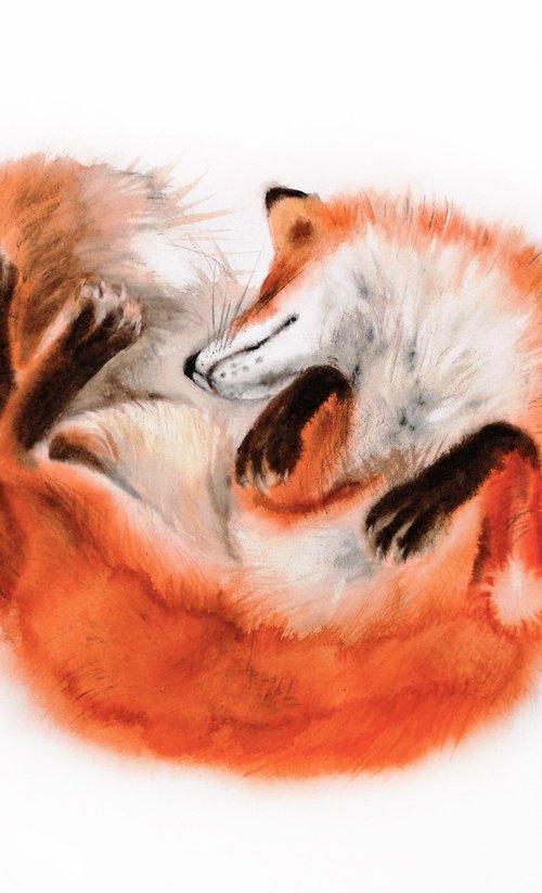 Red Fox in Winter by Olga Beliaeva Watercolour