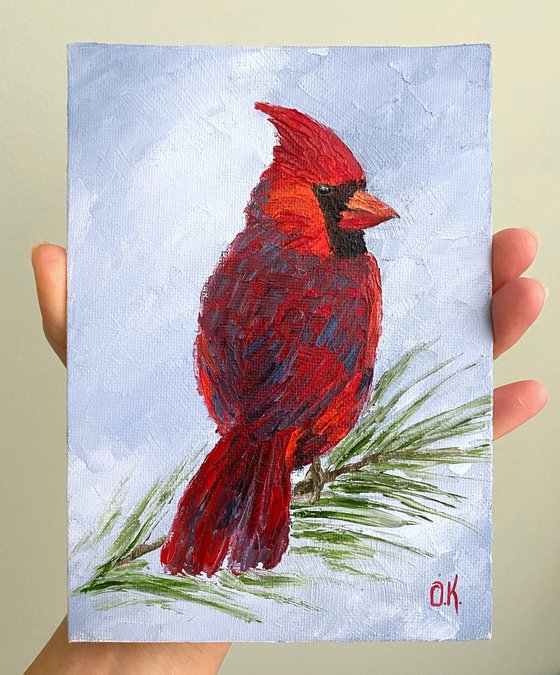 Lovely cardinal