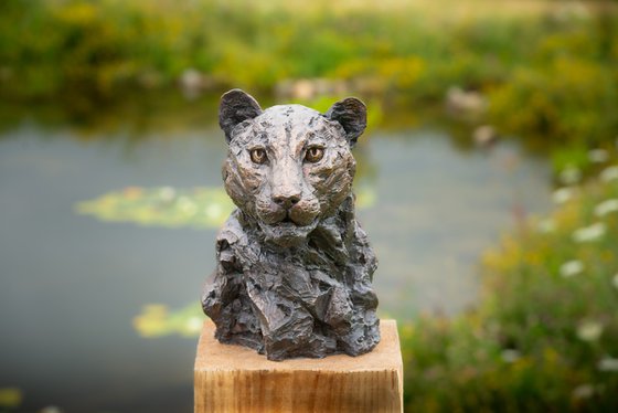 Leopard Portrait Foundry Bronze