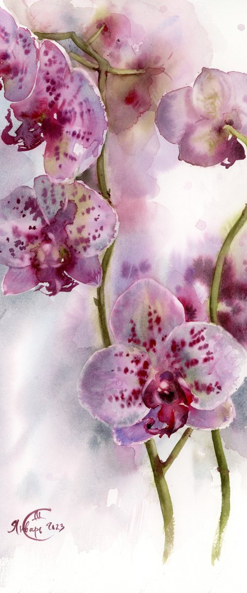 Orchid. Still life with orchid. by Tatyana Tokareva