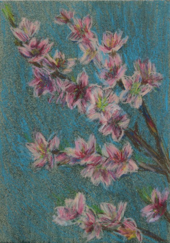 Peach Flowers, 2018, oil pastel on paper, 29.5 x 21 cm