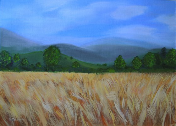 WHEAT FIELD