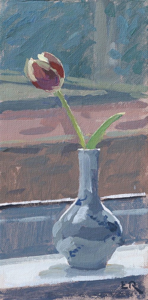 Tulip Under Window Light by Elliot Roworth