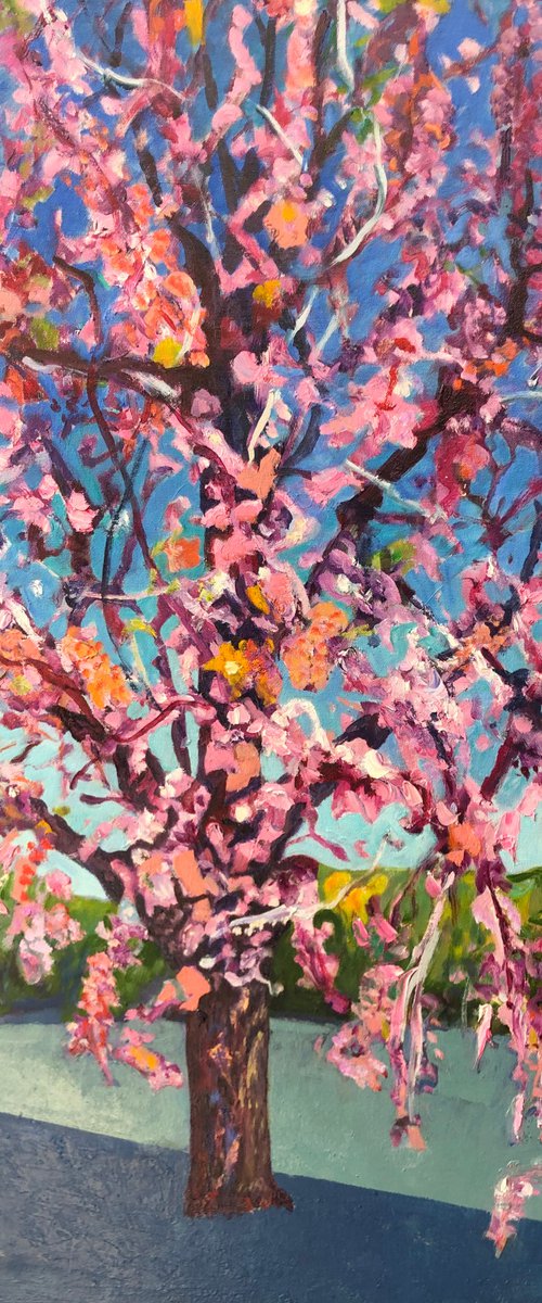 BLOSSOM ON EDINBURGH STREET by Maureen Finck