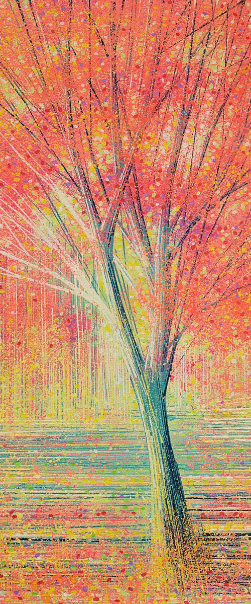 Blossom in Bright Sunlight by Marc Todd