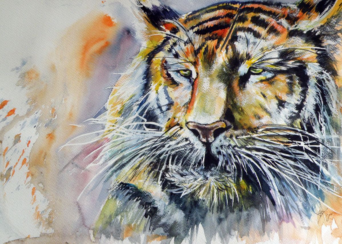 Tiger by Kovacs Anna Brigitta