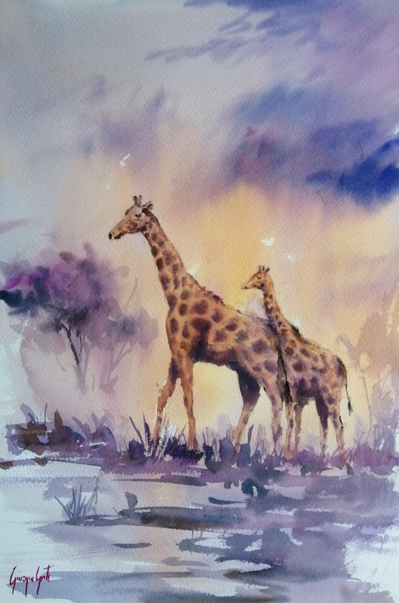 giraffes 4
