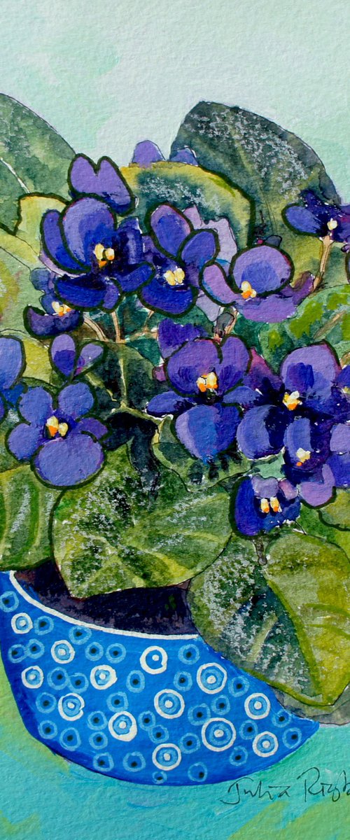 African Violets by Julia Rigby
