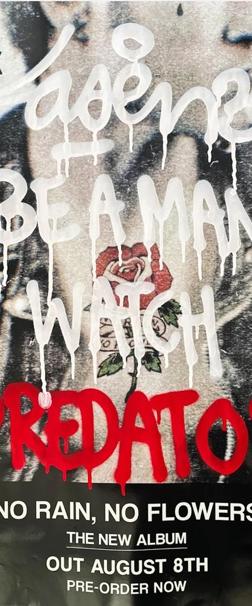 Predator by Laser 3.14