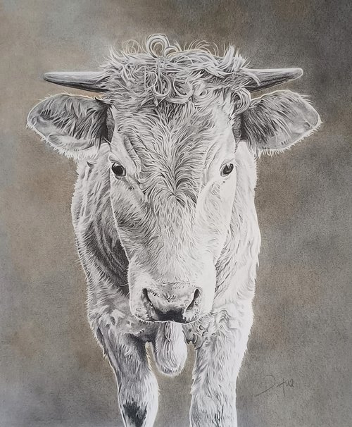 Chappie's Cow by Joanne  Hill