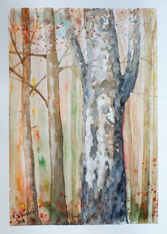 Birch tree