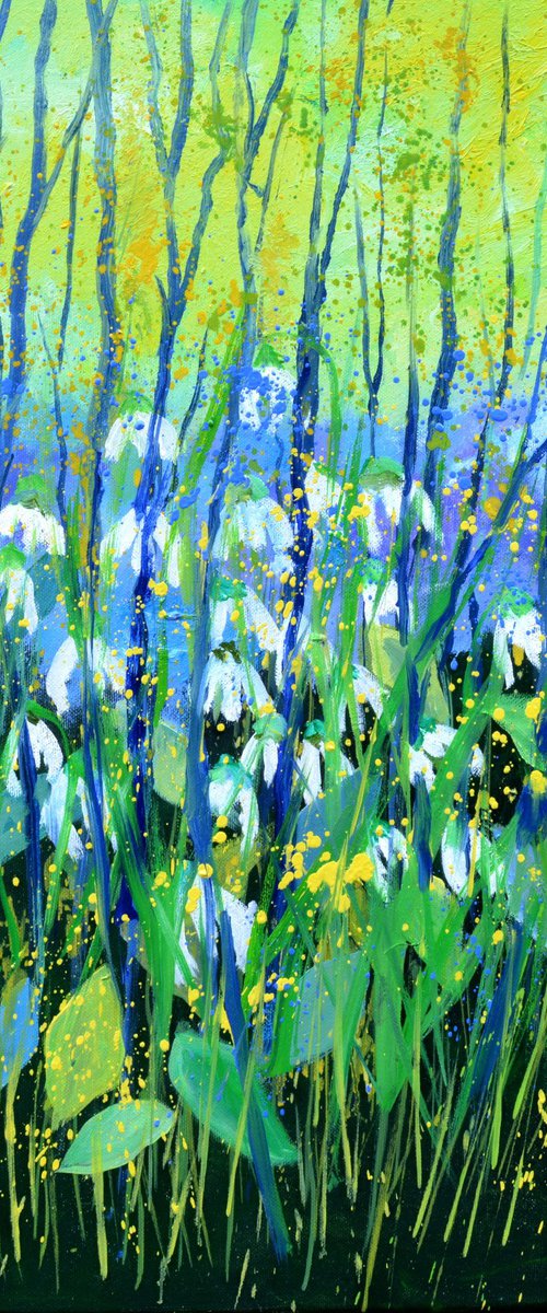 Snow drops by Pol Henry Ledent