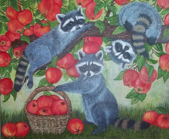 Raccoon and Apples