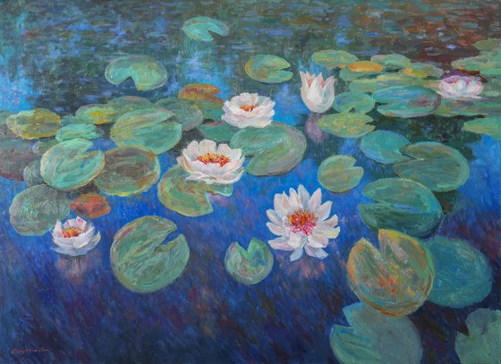 Evening Water Lilies