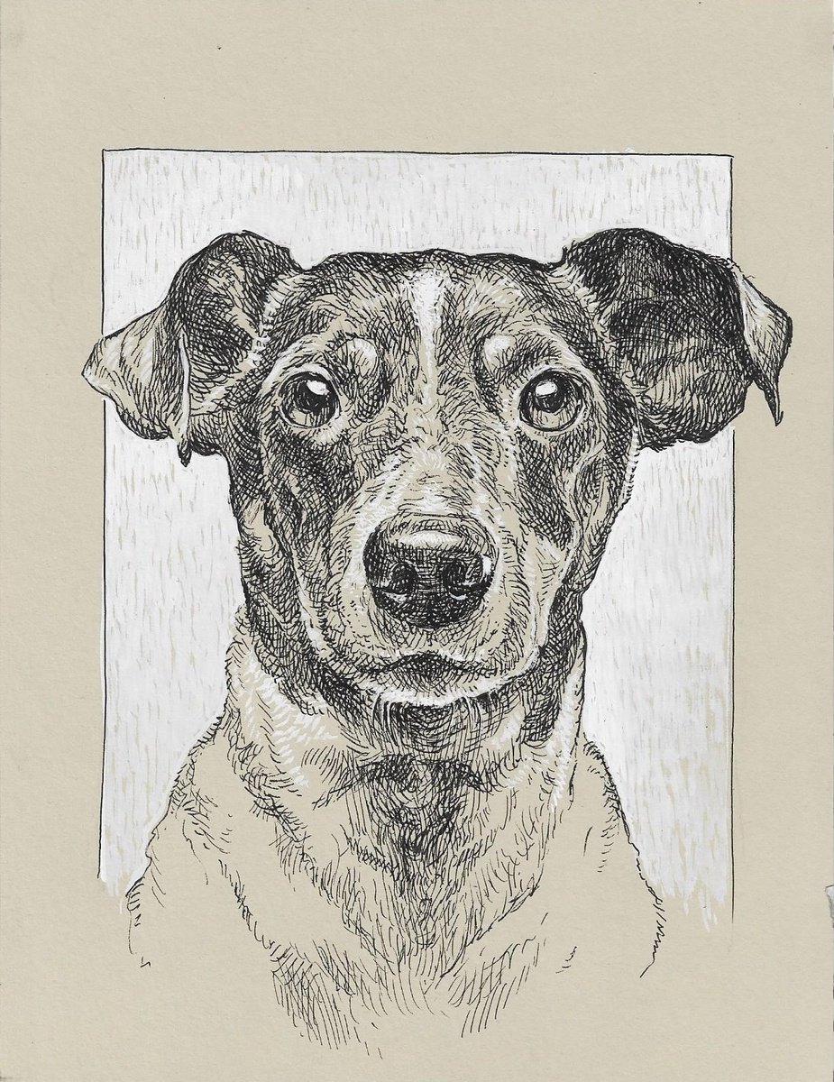 Dog portrait by Katarzyna Gagol