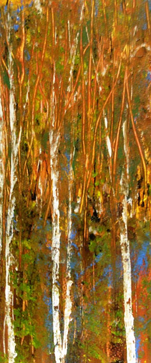 Autumnal Silver Birch by Jan Rippingham