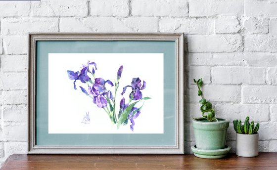 Dance of the purple irises