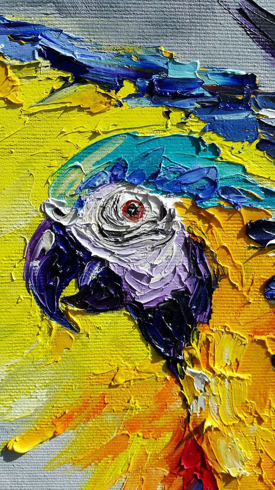 Dance in the sky - Ara parrot, bird, parrots, birds love, parrots art