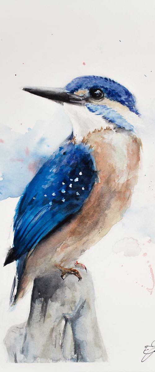 King of the Kingfishers by Tomasz Mikutel
