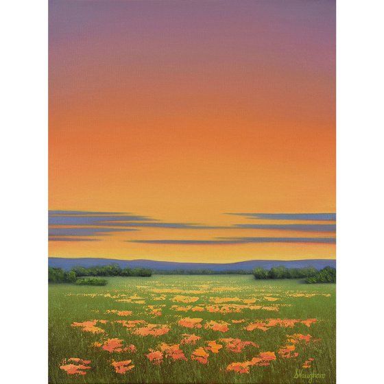 Orange Blooms - Colorful Flower Field Landscape