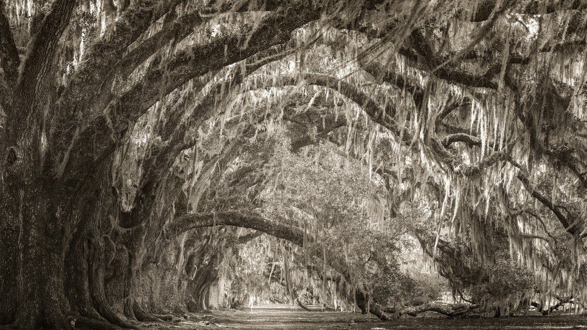 Surrealistic Landscape Photograph By Harv Greenberg, 43 X 24, Passages Through Time Ii, Original Artwork