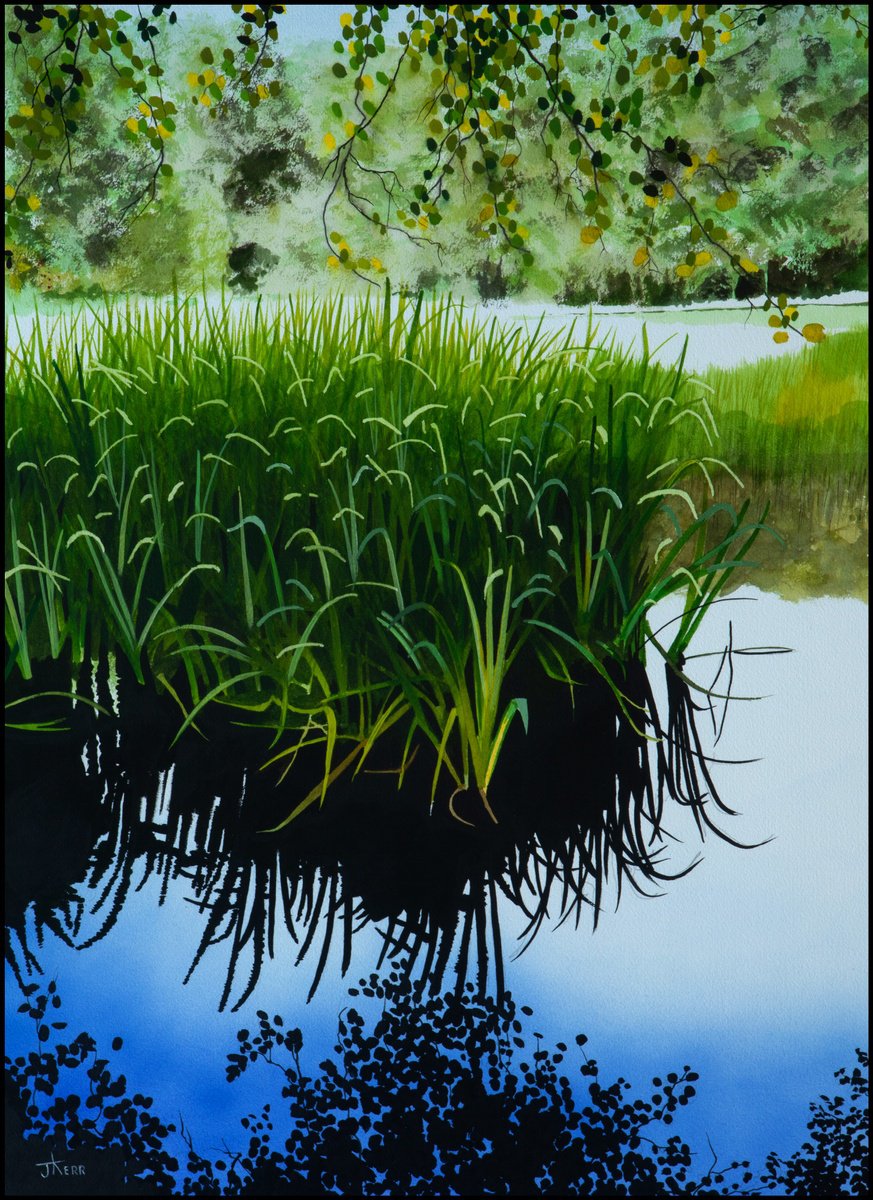 Landscape Watercolour By John Kerr, 21 X 29, Reeds On A Pond, Original Artwork