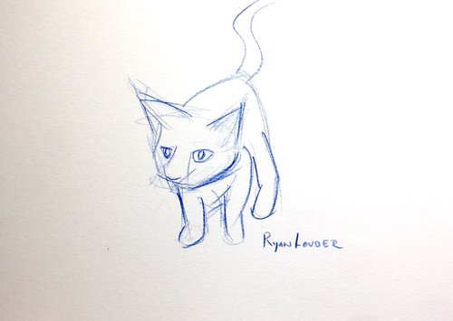 Kitten by Ryan  Louder
