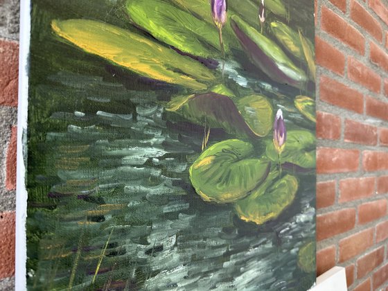 Water Lily Buds