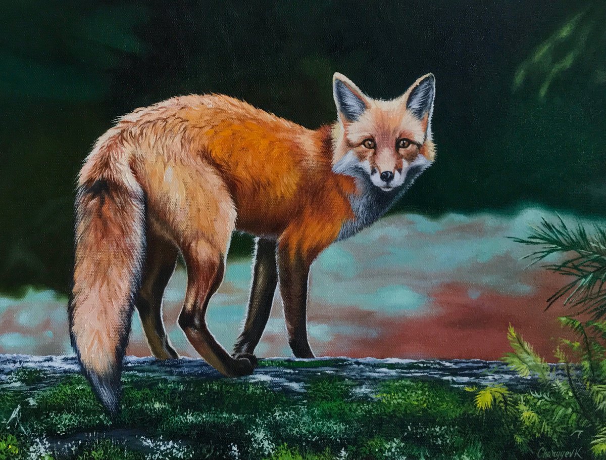 Fox by Kakajan Charyyev
