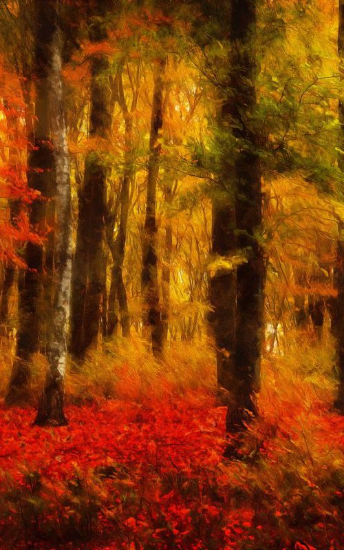 Autumn in Lakeland by Alistair Wells