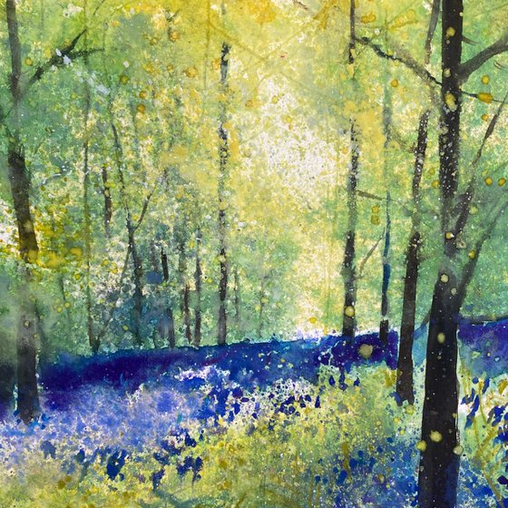 Among bluebells framed