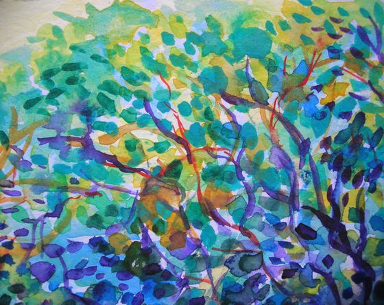 Breeze in olive orchard II