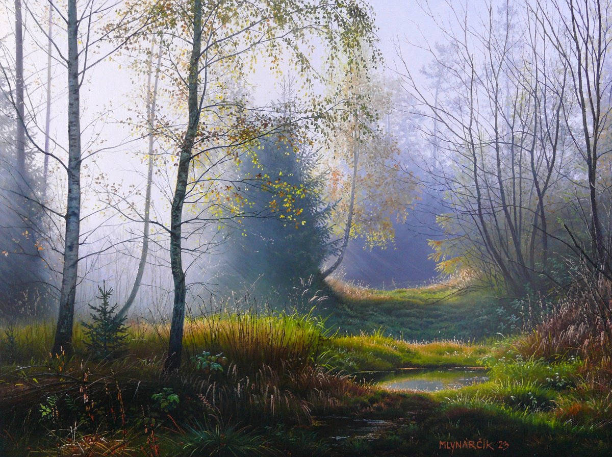 Foggy morning in the autumn forest by Mlynarcik Emil