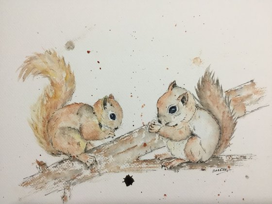 Squirrels