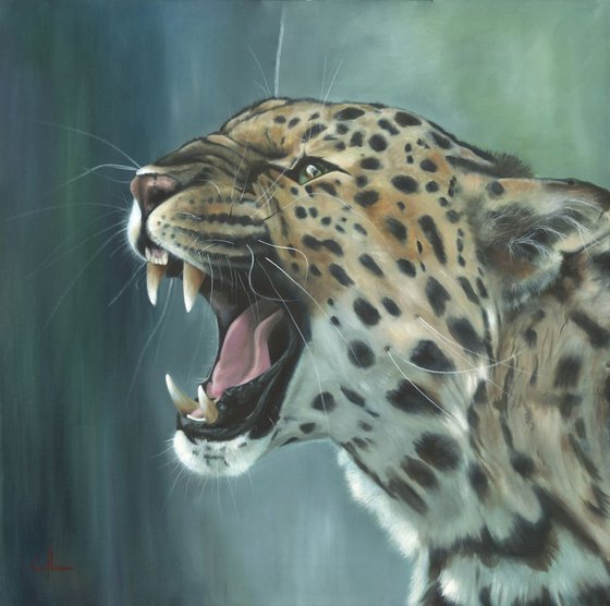 'Amur Leopard'