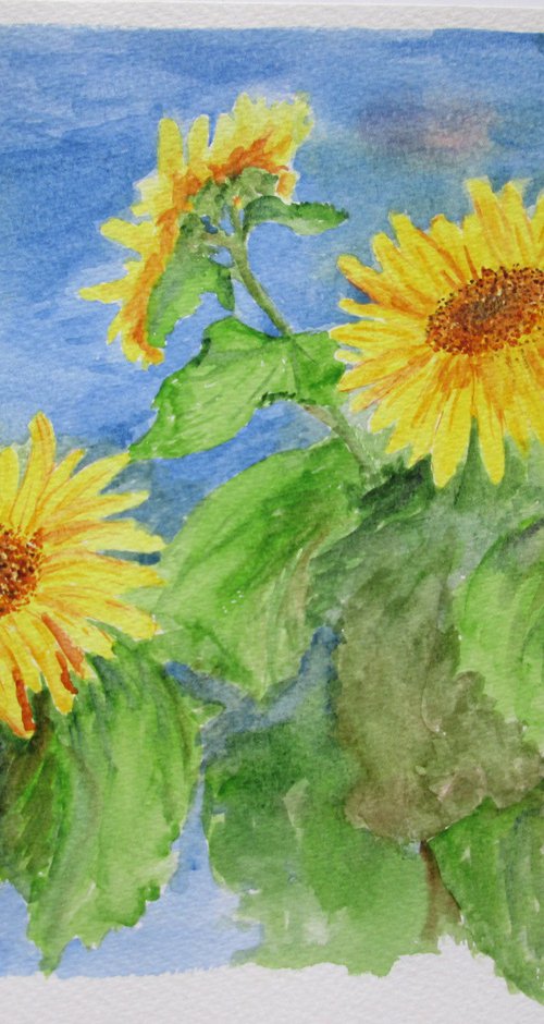 Sunflowers by MARJANSART